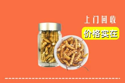 四平市铁东回收散虫草